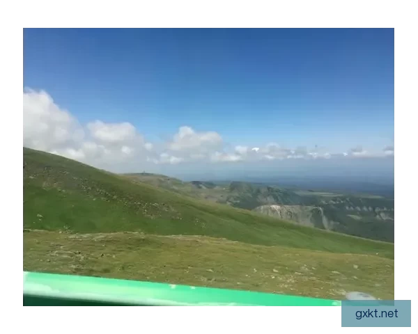 仙踪林网站入口欢迎你 免费体验奇妙森林茶饮世界 共赴自然清香之旅延